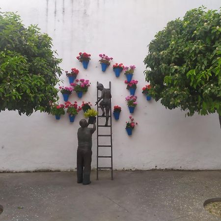 Los Patios De Córdoba Eksteriør billede