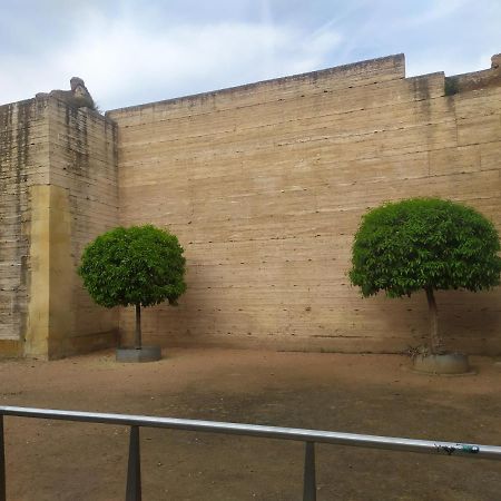Los Patios De Córdoba Eksteriør billede